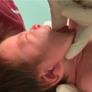 Lee más sobre el artículo Anatomía de la boca del Bebé