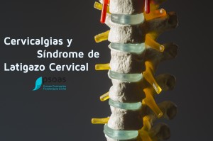 Lee más sobre el artículo El Síndrome de Latigazo Cervical no solo afecta al cuello