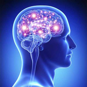 Lee más sobre el artículo Encuentro Virtual: Estimulación Neuro-Refleja® y Acupuntura