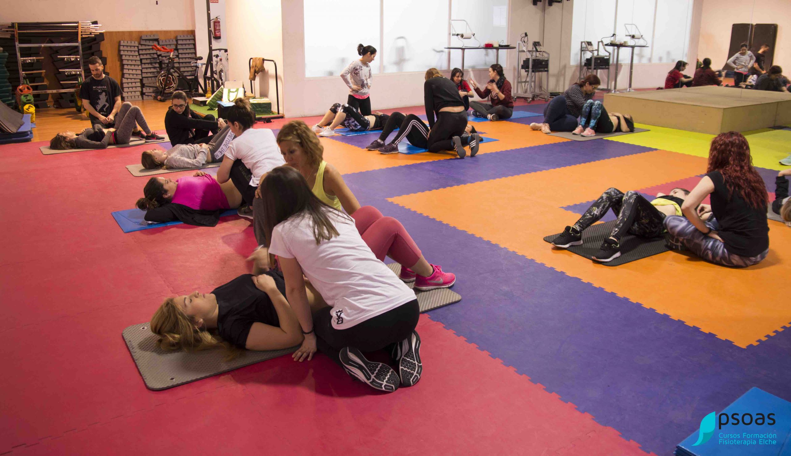 Lee más sobre el artículo Cursos de fisioterapia en Murcia