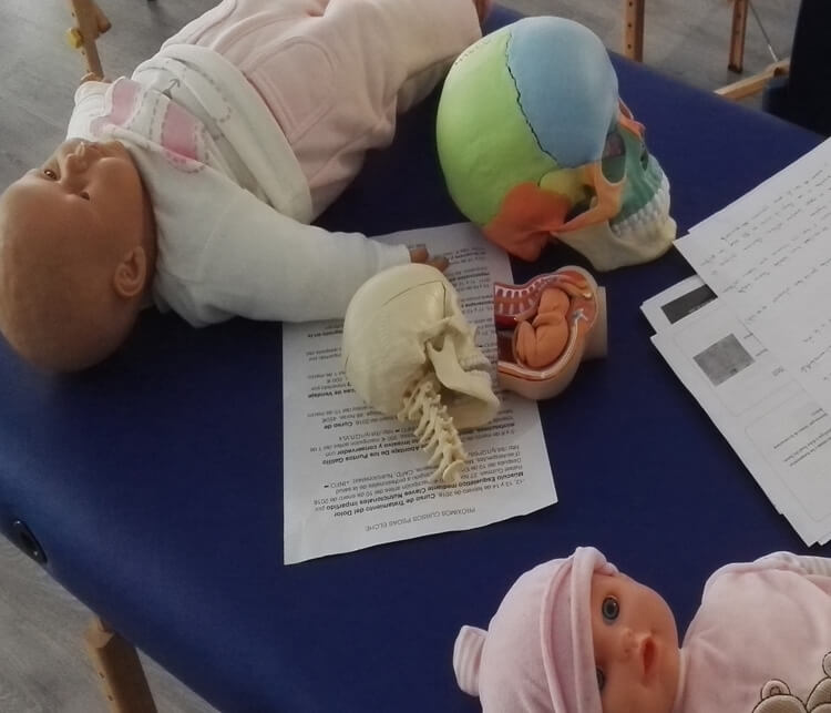 muñecos practicas pediatria